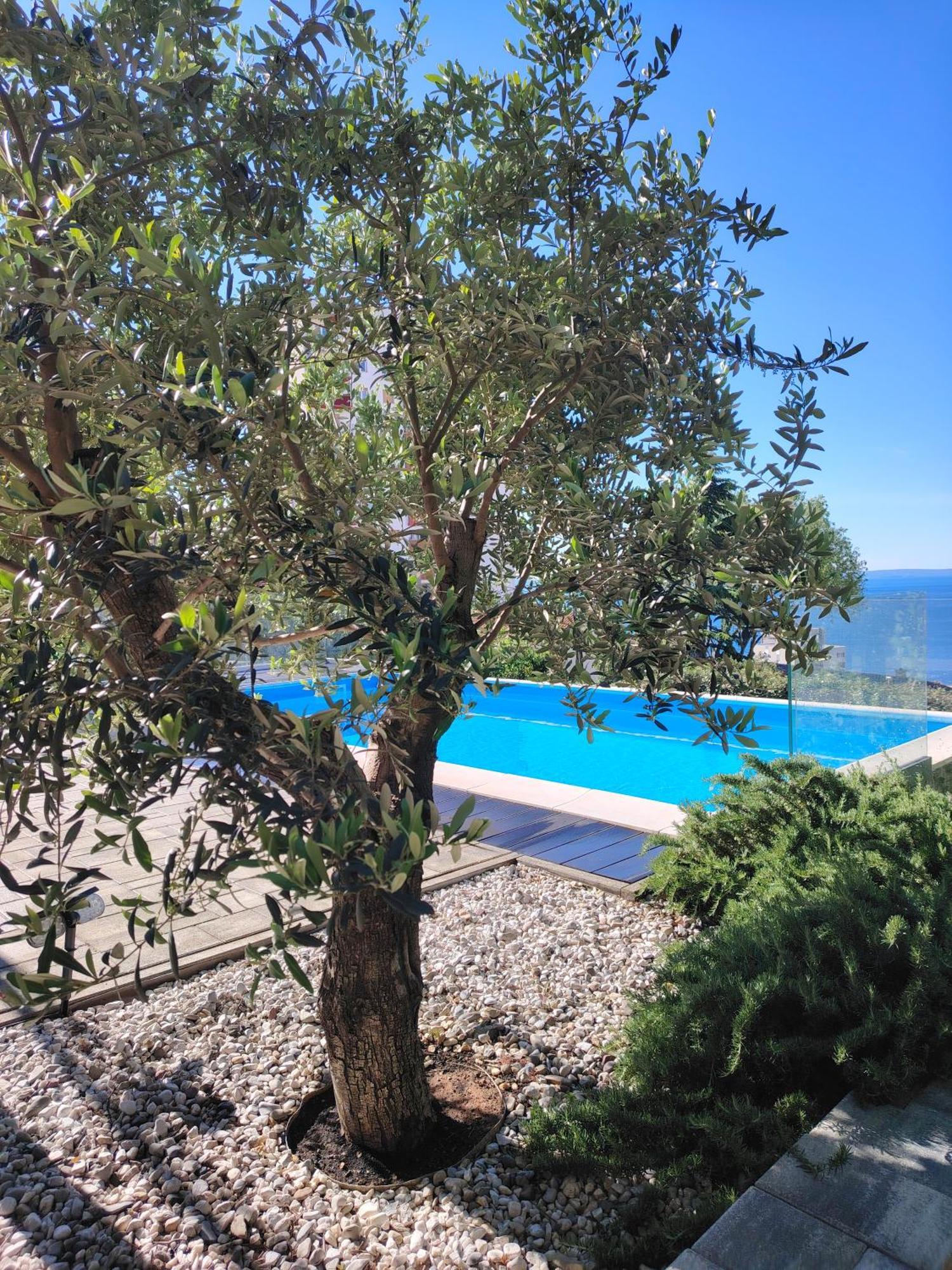Apartman Xenna Rijeka Luaran gambar